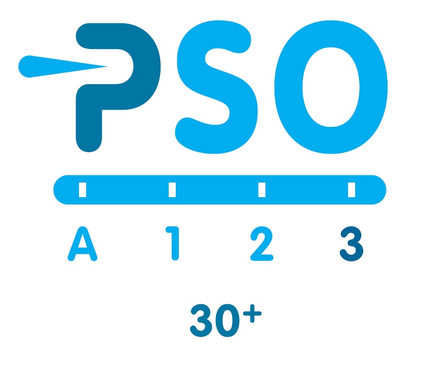 AutiTalent SROI PSO